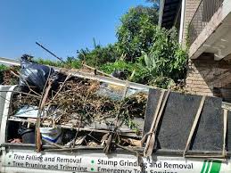 Trusted Gamerco, NM Junk Removal Services Experts