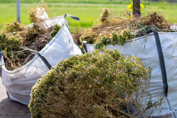Best Carpet Removal and Disposal  in Gamerco, NM